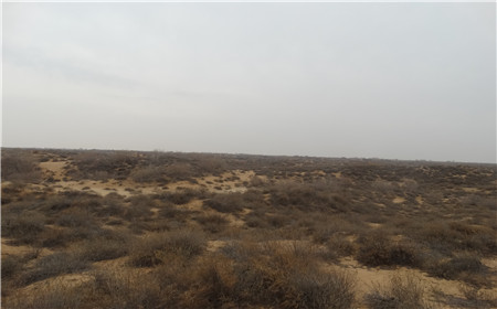 云顶集团(中国区)官方网站