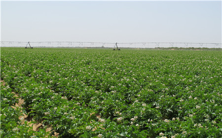 云顶集团(中国区)官方网站