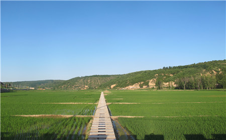 云顶集团(中国区)官方网站