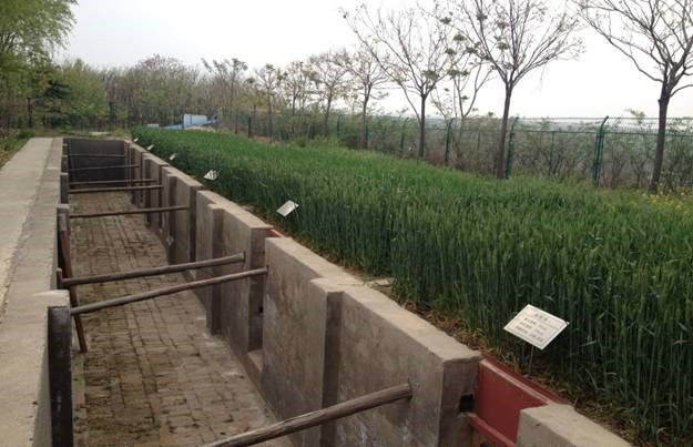 云顶集团(中国区)官方网站