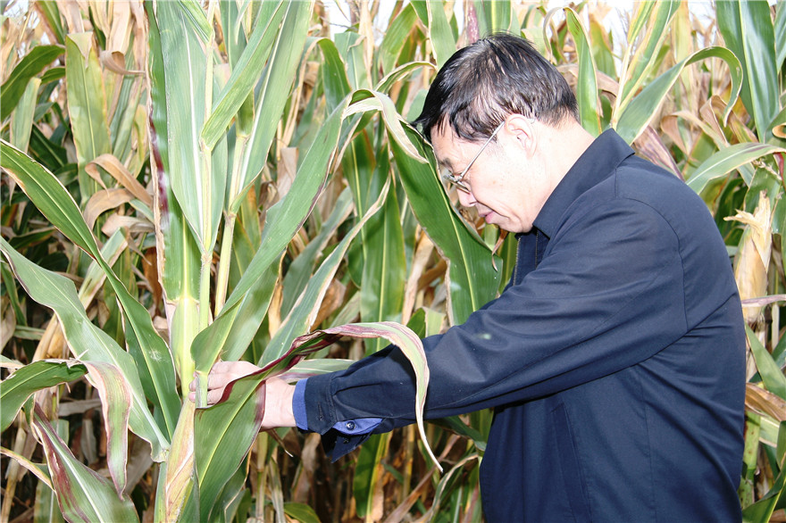 云顶集团(中国区)官方网站