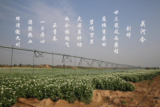 云顶集团(中国区)官方网站