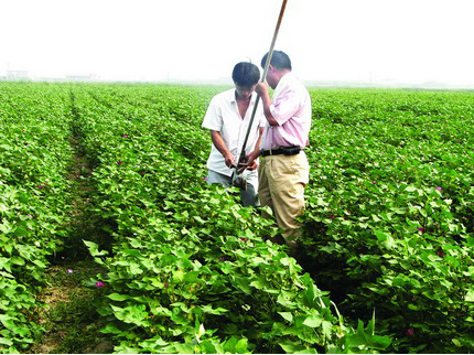 云顶集团(中国区)官方网站