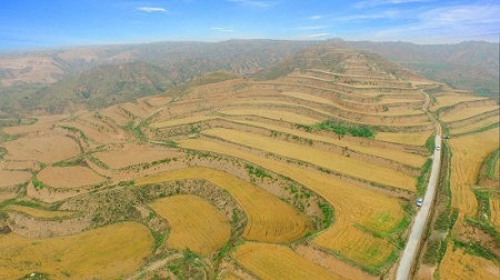 云顶集团(中国区)官方网站