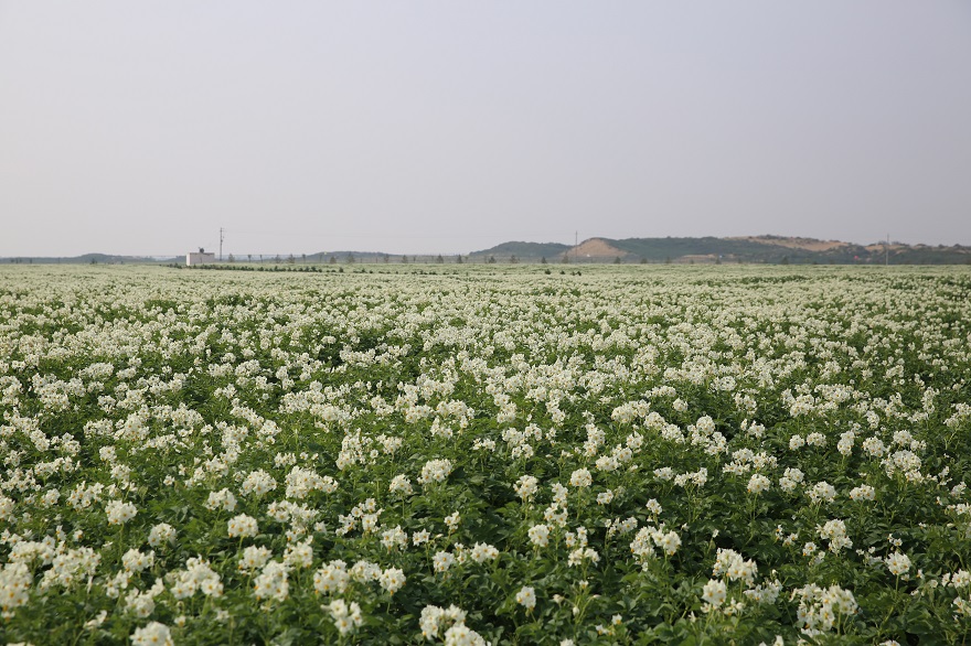 云顶集团(中国区)官方网站