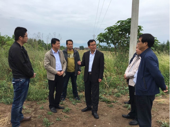 云顶集团(中国区)官方网站