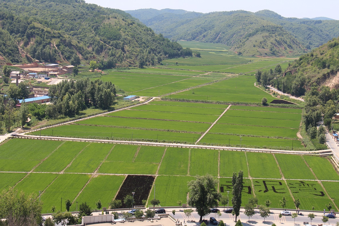 云顶集团(中国区)官方网站