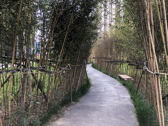 云顶集团(中国区)官方网站