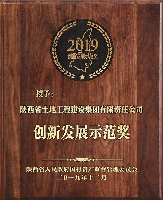 2019年立异生长树模奖 .jpg