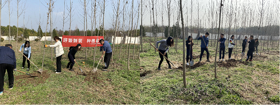云顶集团(中国区)官方网站