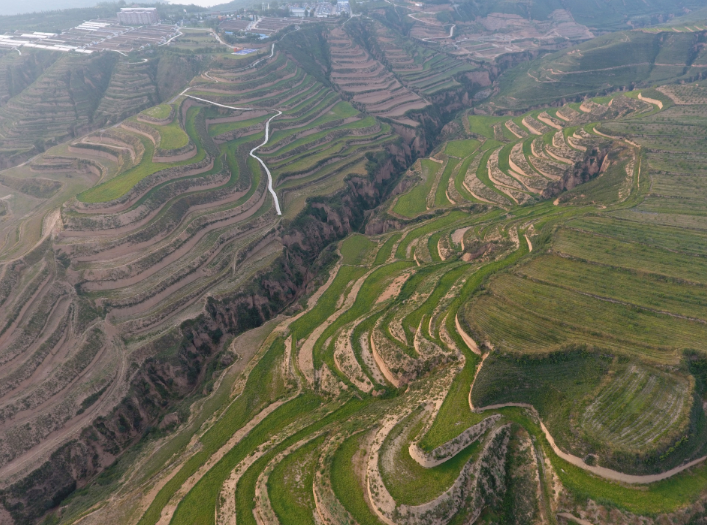 云顶集团(中国区)官方网站
