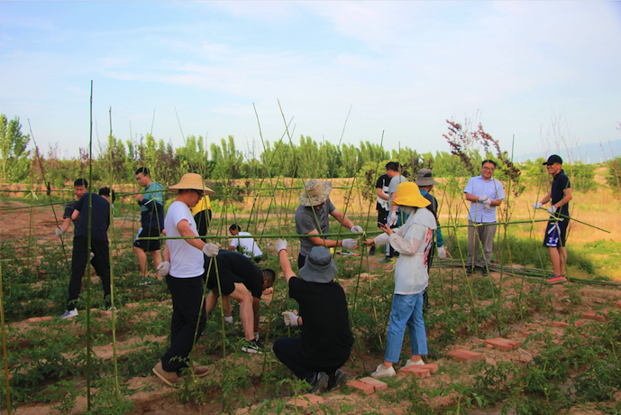 云顶集团(中国区)官方网站